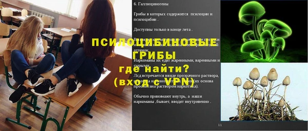 спиды Алексин